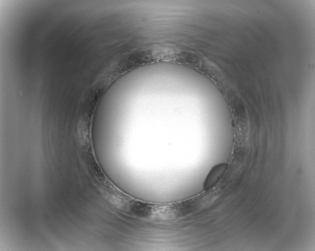 X0000068730705200605051459