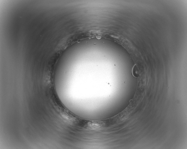 X0000068730706200605051459