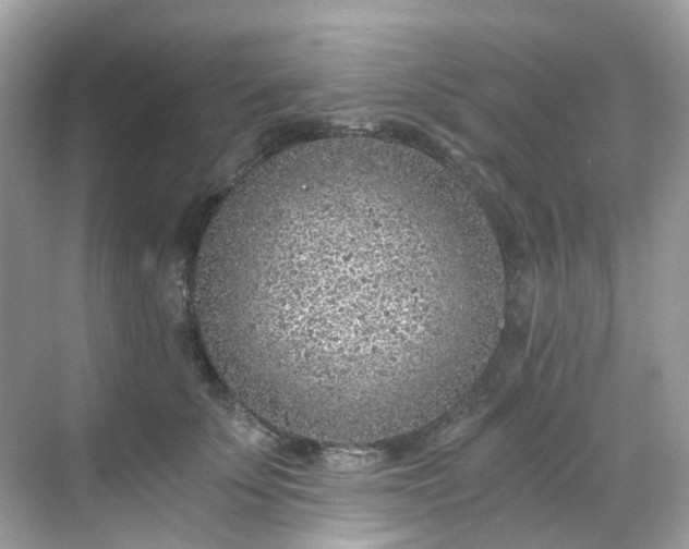 X0000068730707200605051459