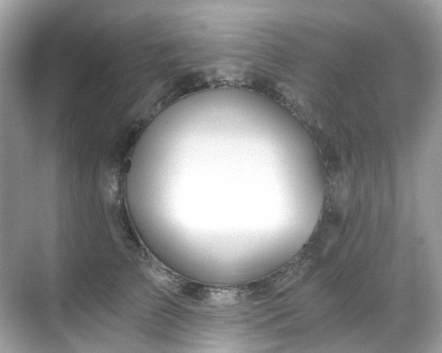 X0000068730709200605051459