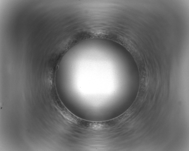 X0000068730710200605051459