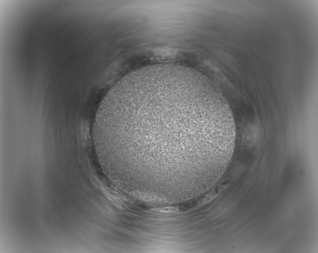 X0000068730711200605051459