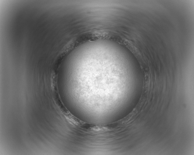 X0000068730712200605051459