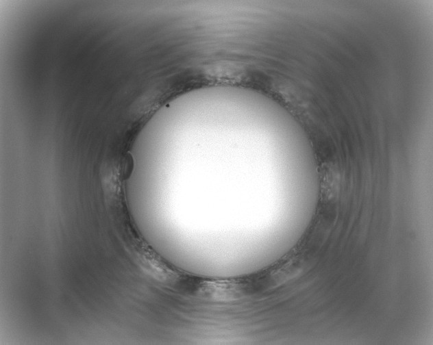 X0000068730713200605051459