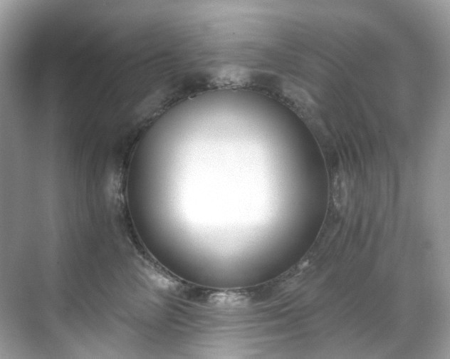 X0000068730714200605051459