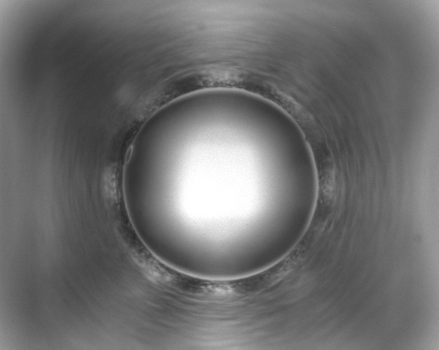 X0000068730715200605051459