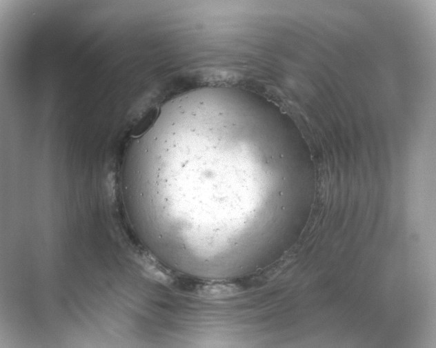 X0000068730716200605051459