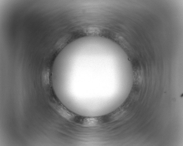 X0000068730717200605051459