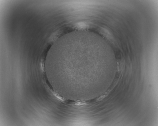 X0000068730718200605051459