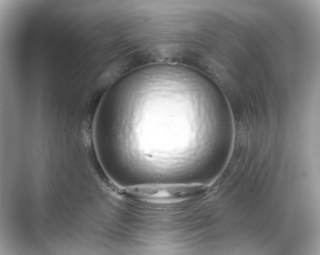 X0000068730719200605051459