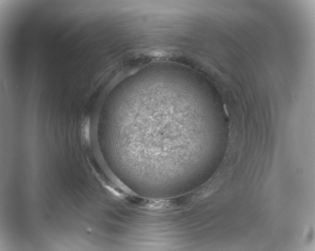 X0000068730720200605051459