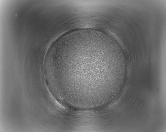 X0000068730721200605051458