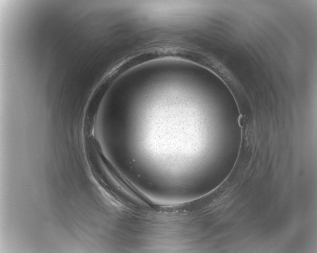 X0000068730722200605051458