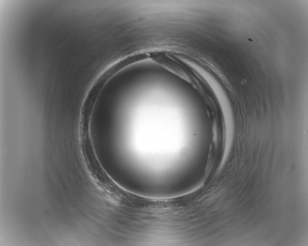 X0000068730724200605051458