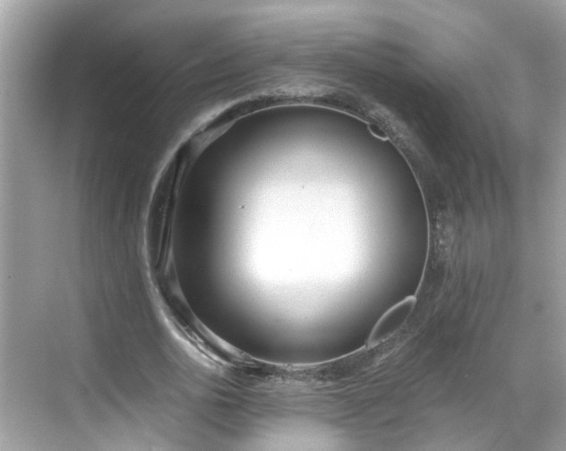 X0000068730726200605051458