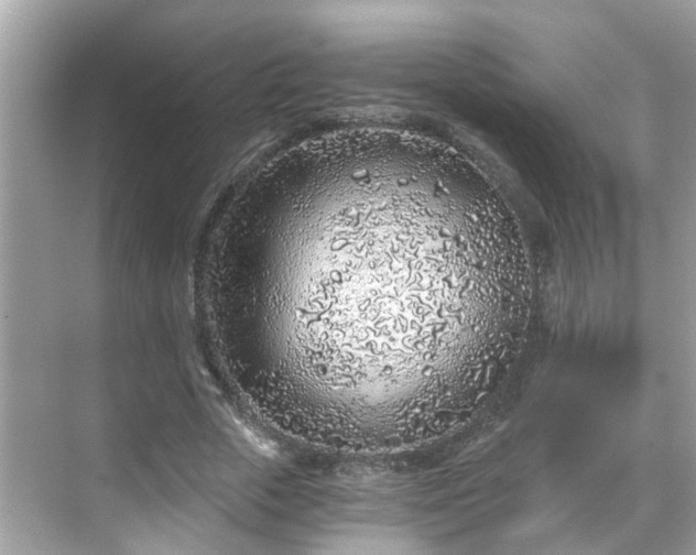 X0000068730729200605051458