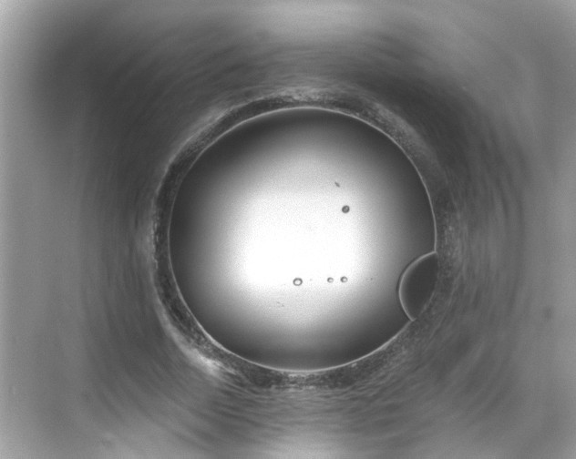 X0000068730730200605051458