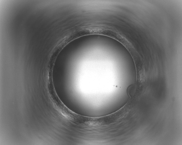 X0000068730733200605051458