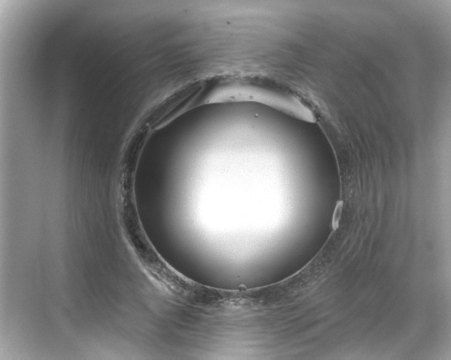 X0000068730736200605051458