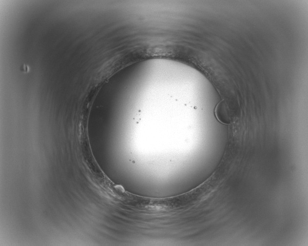 X0000068730741200605051458