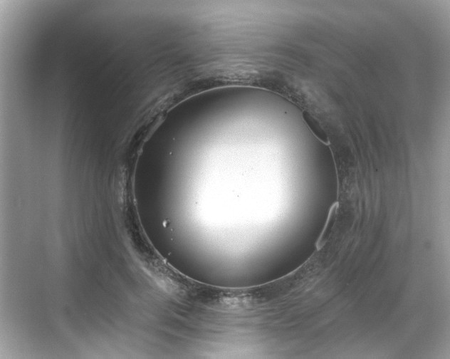 X0000068730744200605051458