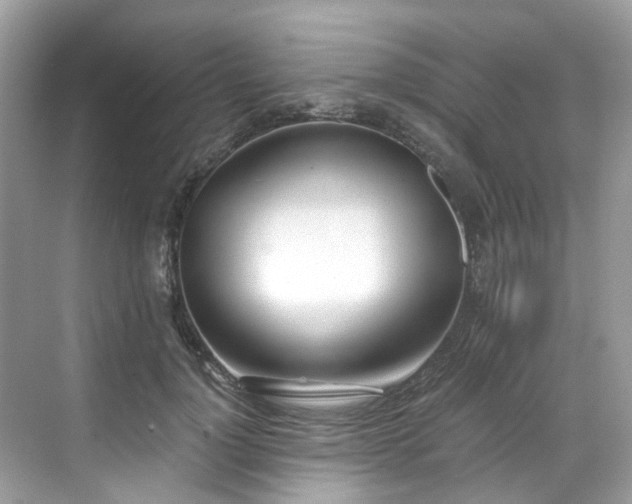 X0000068730748200605051458