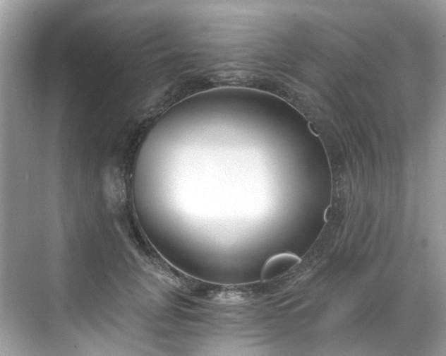 X0000068730751200605051458