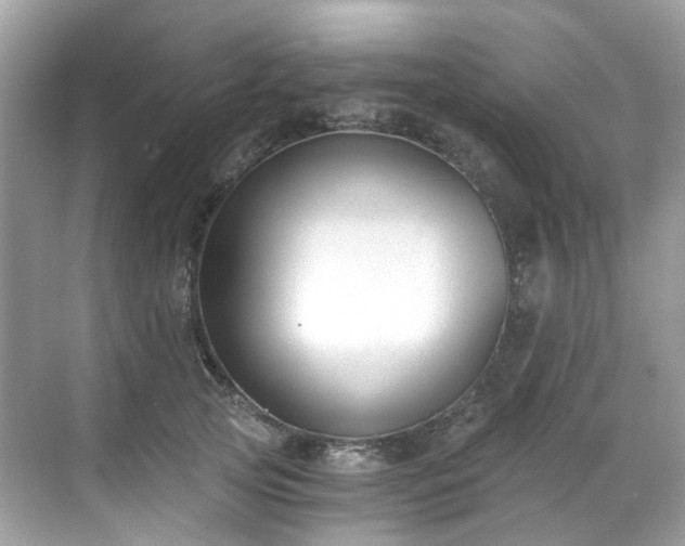 X0000068730753200605051458