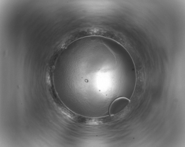 X0000068730754200605051458