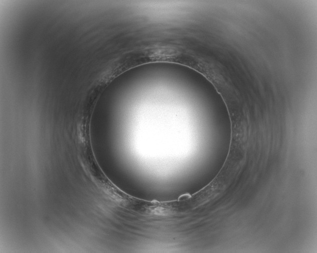 X0000068730755200605051458