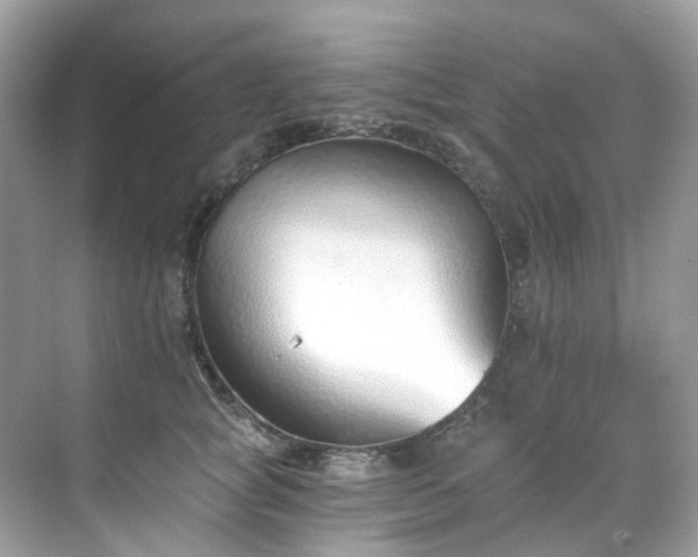 X0000068730757200605051458