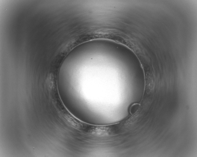 X0000068730758200605051458