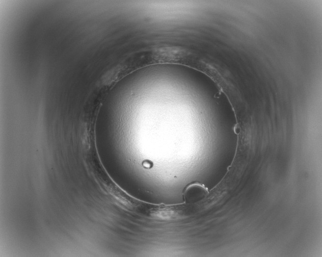 X0000068730759200605051459