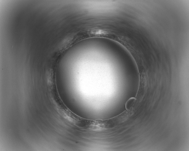 X0000068730760200605051459