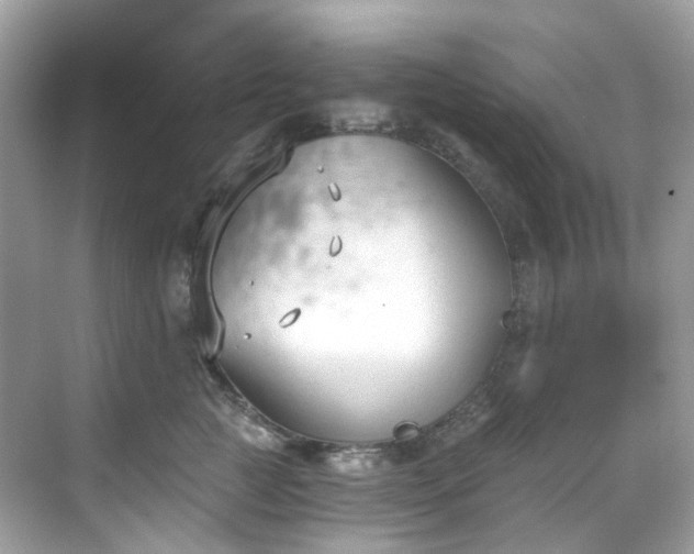 X0000068730761200605051459