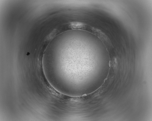 X0000068730763200605051459