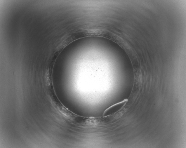 X0000068730764200605051459