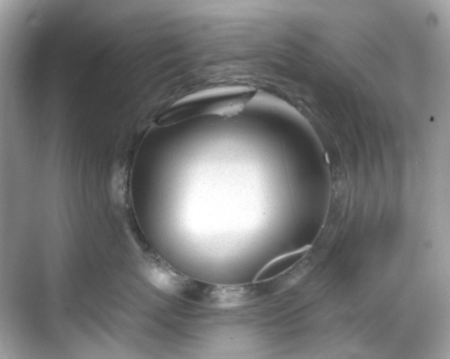 X0000068730767200605051459