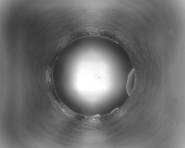 X0000068730768200605051459