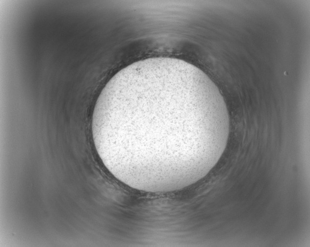 X0000068730769200605051458