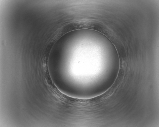 X0000068730771200605051458