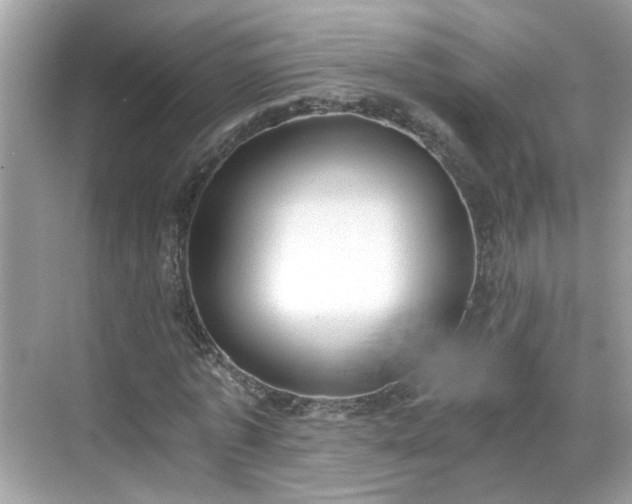 X0000068730773200605051458