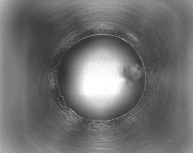 X0000068730774200605051458