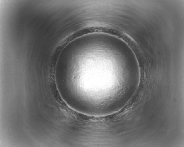 X0000068730775200605051458