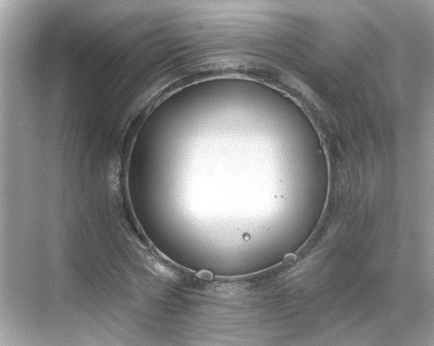 X0000068730778200605051458