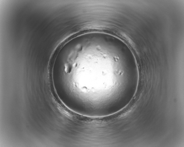 X0000068730779200605051458