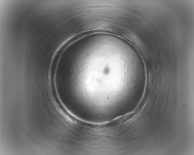 X0000068730780200605051458