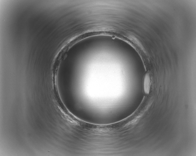 X0000068730781200605051458