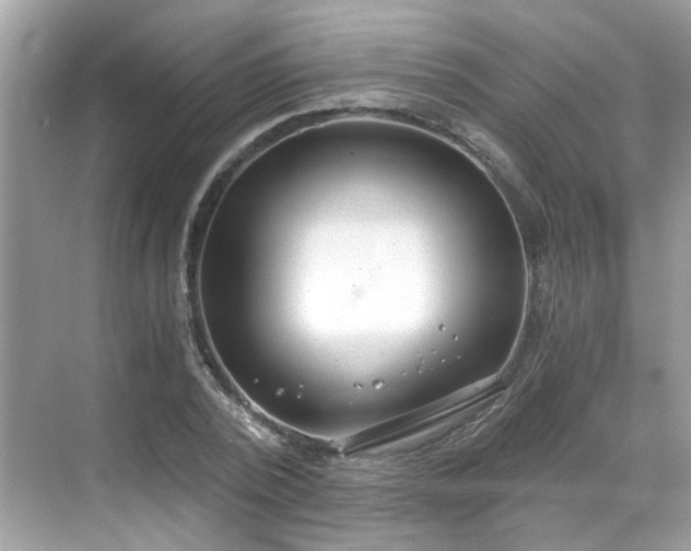 X0000068730784200605051458