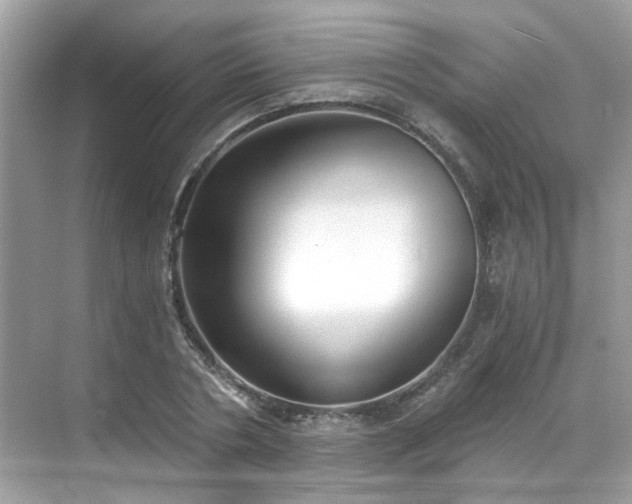 X0000068730786200605051458